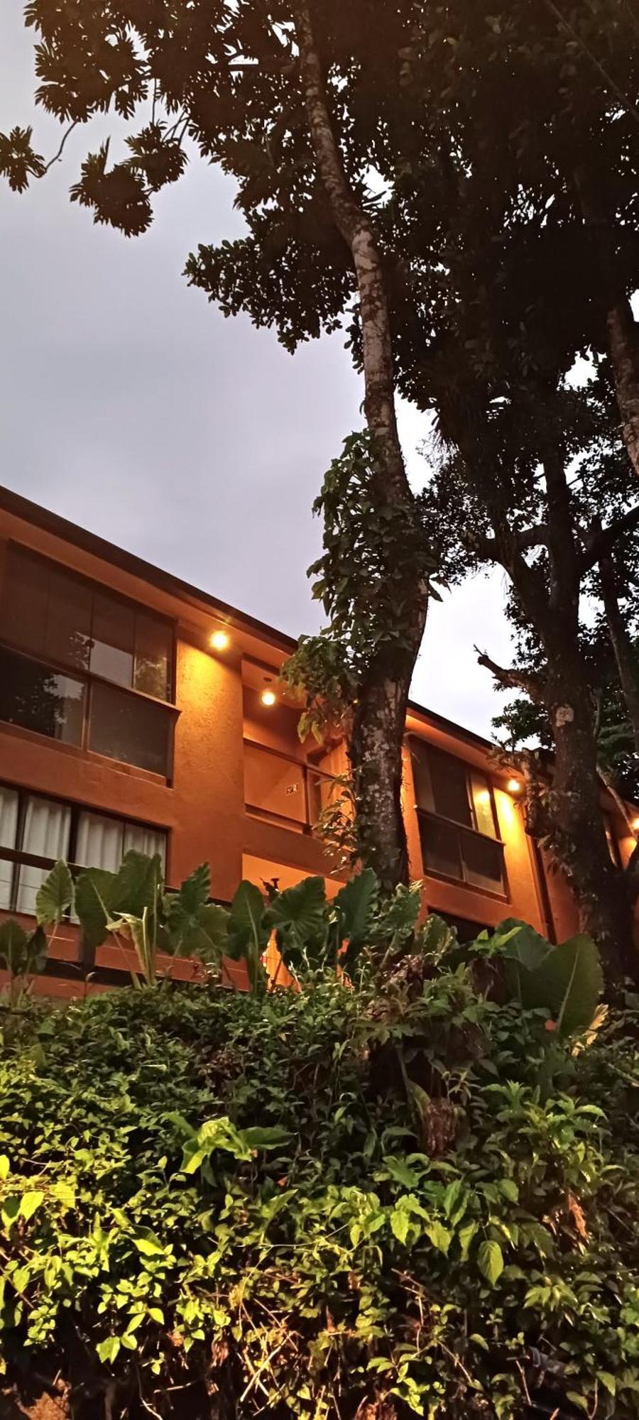 Apartment Loft Da Figueira, Abraao Ilha Grande. *